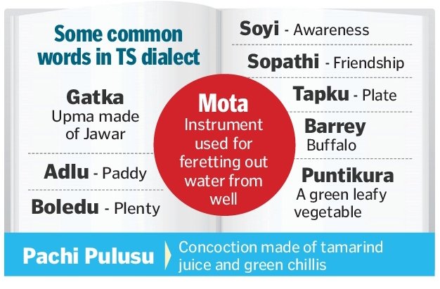 Telugu Varsity To Come Out With Book On Telangana Dialect By June 2018