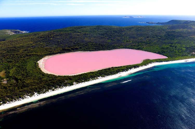Why is the water pink in Lake Hillier?