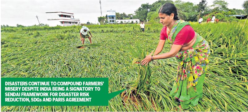Flood of problems for farmers