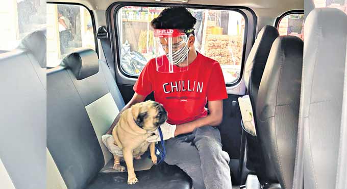 Hyderabad-based ‘Scoobie’s Pet Services’ helps pets stay safe in pandemic