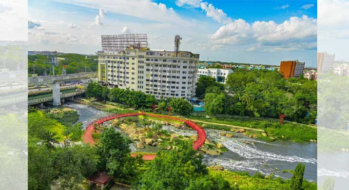 Hyderabad: Rain garden at Begumpet Nala turns feast for eye
