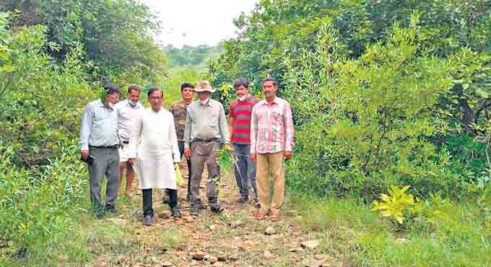Free forest land in Warangal from encroachers: Activists