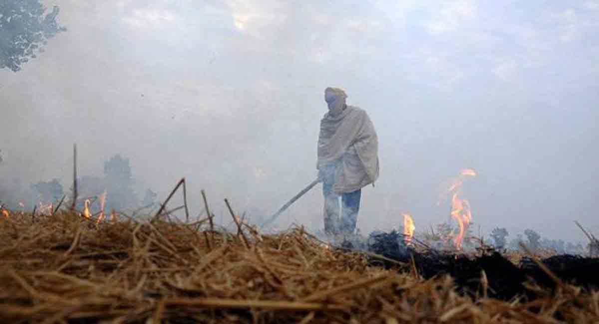 Punjab to quash all cases against farmers in connection with stubble burning