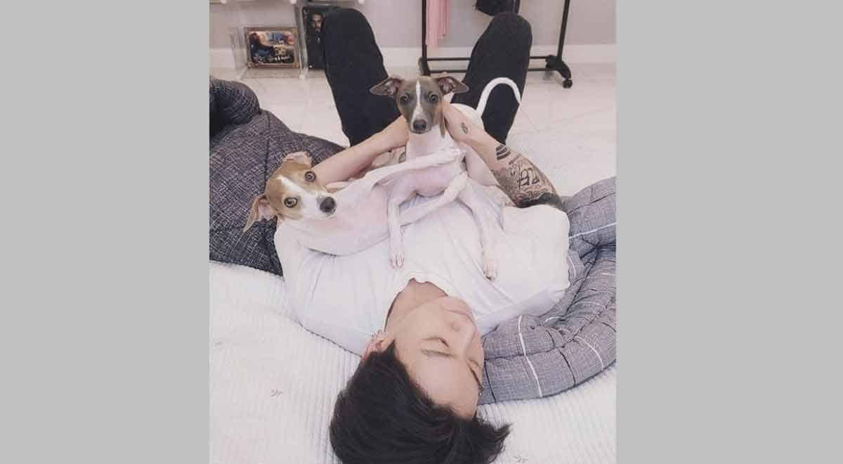 BTS’ Jungkook trends after sharing pictures posing with pups