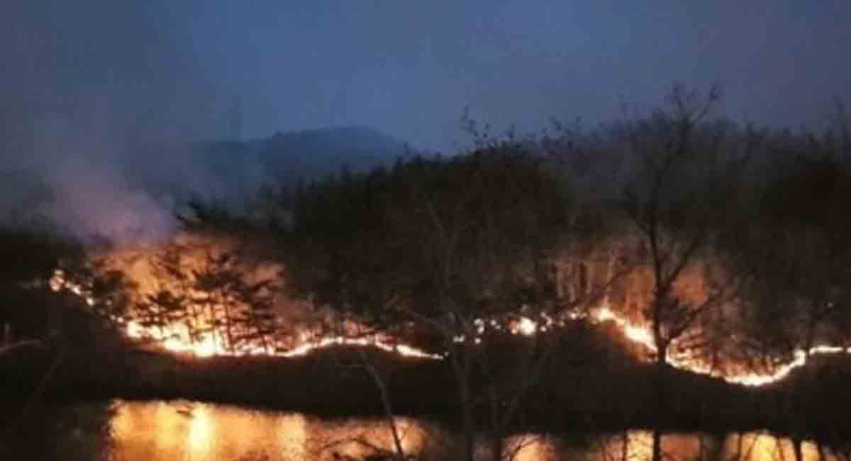 Firefighters battling wildfire in S.Korean coastal county