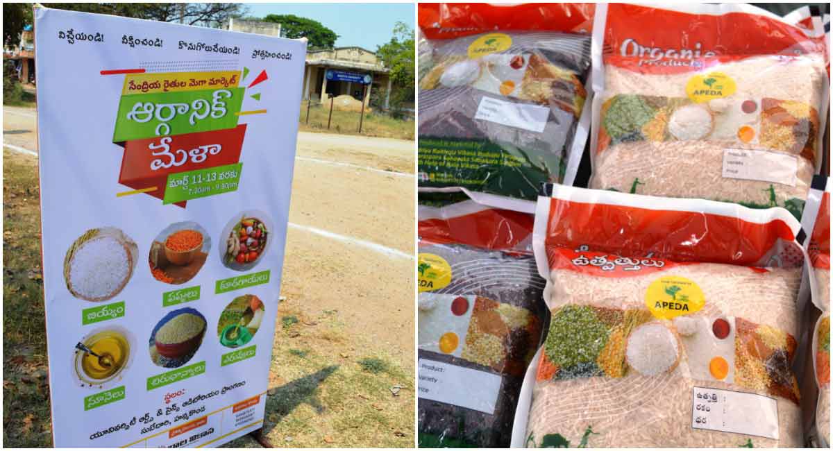 Bala Vikasa to open stalls to sell organic farm produce soon in Warangal