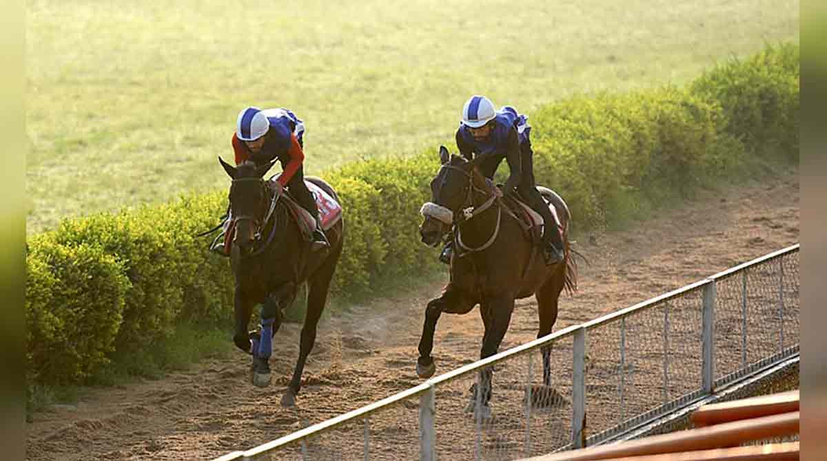 Mysterious Angel, Bien Pensant shine in trials at Hyderabad Race course