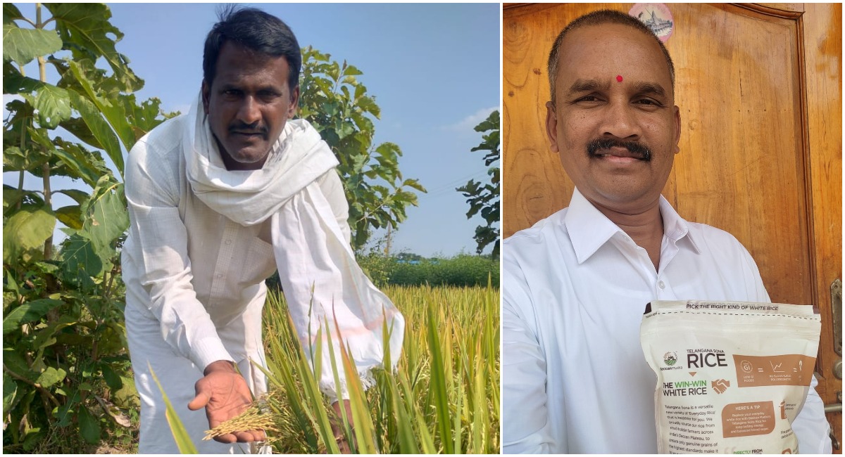 Ibrahimpur farmers reap rich benefits with Telangana Sona cultivation