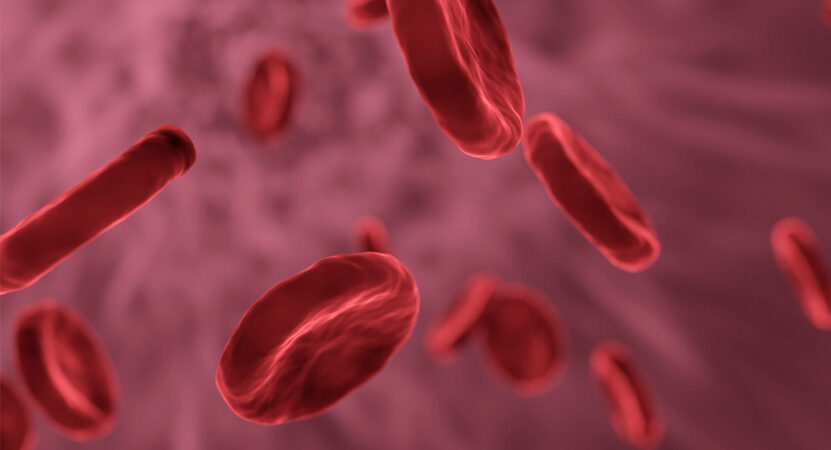 blood stem cell