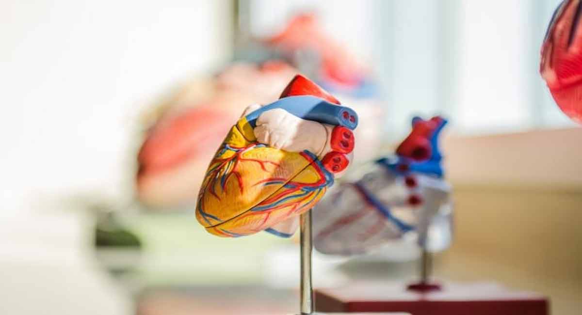 Heart inflammation risk post Covid-19 vax rare: Lancet