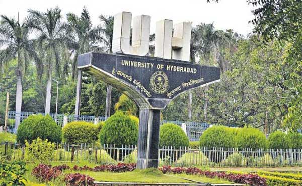 A record 485 UoH students grab job offers