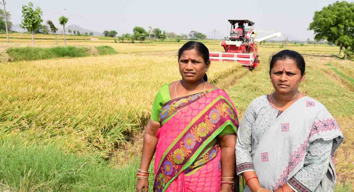 Dalit Bandhu helps two Huzurabad women earn Rs 12,000 per day