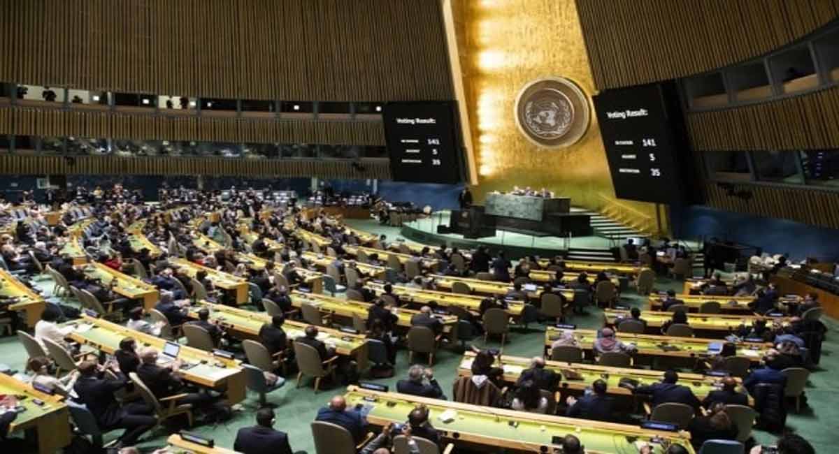 UNGA resolution calls for efforts to mitigate food security crisis