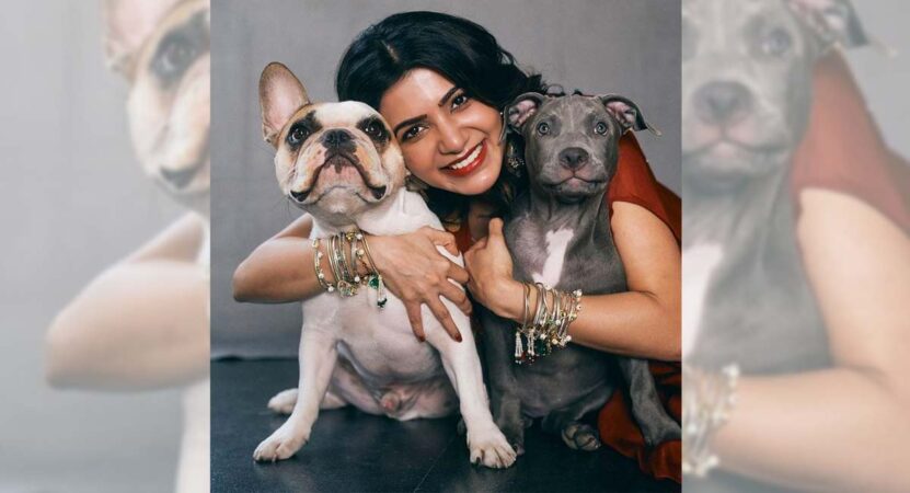 Samantha responds to troll who said, ‘she will die alone with cats and dogs’