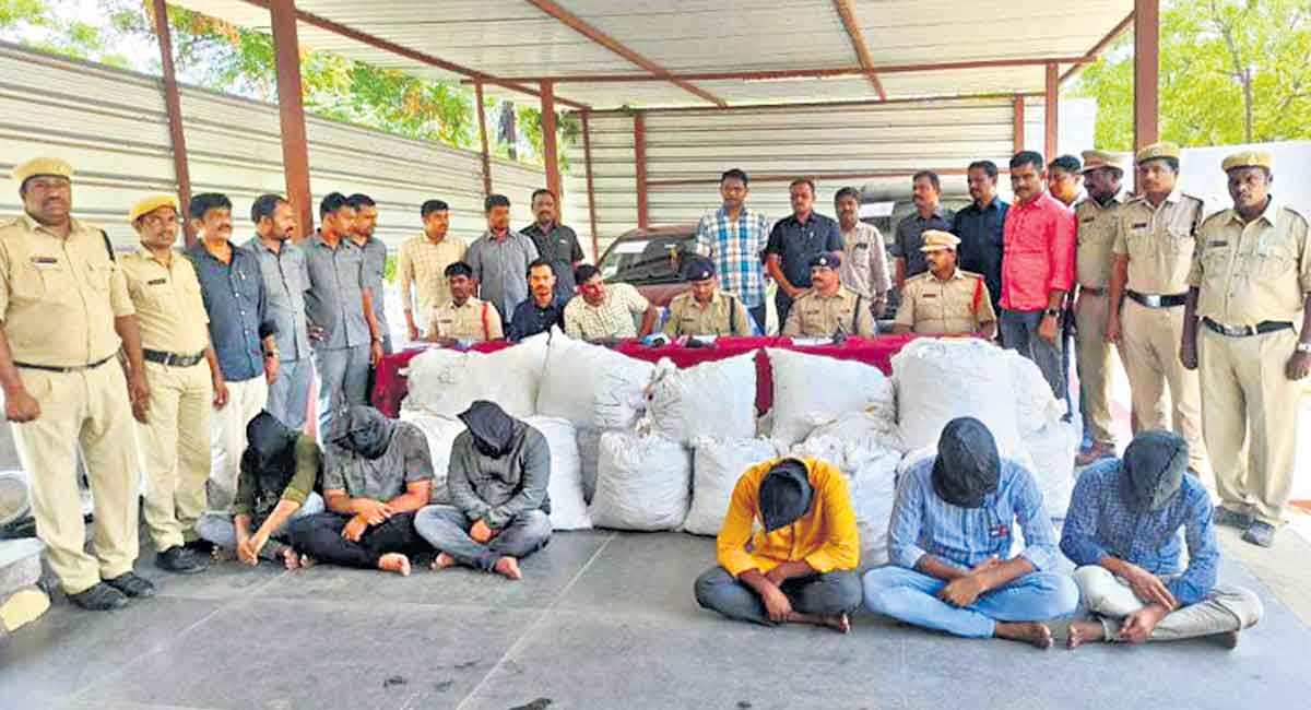 Six peddlers nabbed, 520 kg ganja seized in Hanamkonda