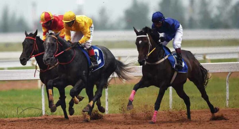 Horse Racing: Priceless Gold fancied for Mysuru feature