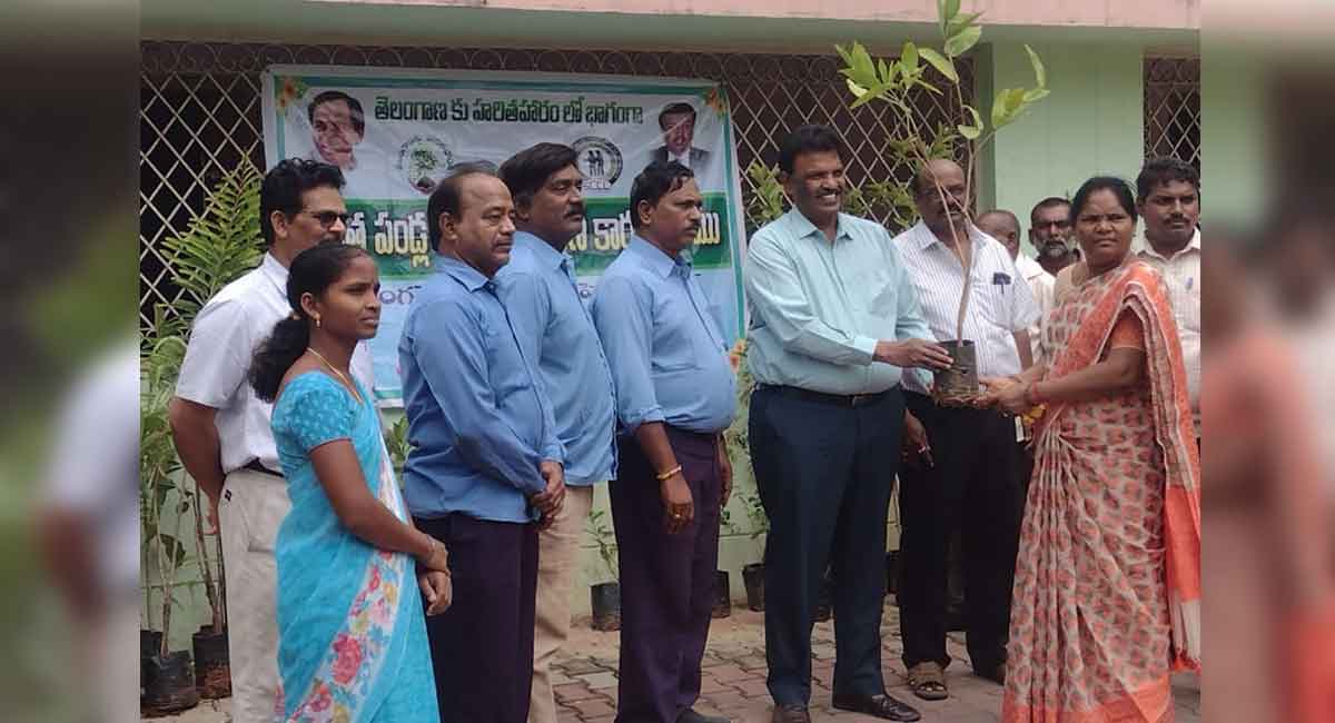 Haritha Haram: SCCL to plant 50 lakh saplings