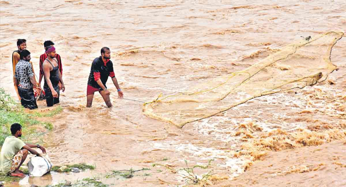 Rains spur farming activity in Adilabad