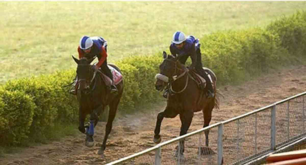 Mirana, Voice Of A Dream shine in trials at Hyderabad Race Course